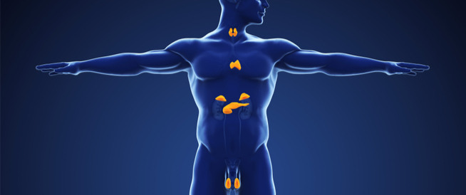  Critical Care Endocrinology MCQ